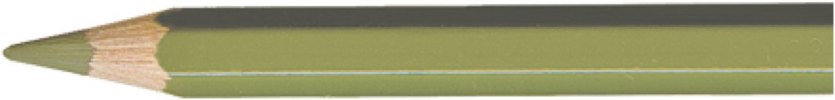 Carandache kleur potlood Pablo